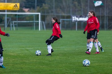 Bild 46 - B-Juniorinnen SV Henstedt Ulzburg - SG ONR : Ergebnis: 14:0